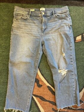 LOFT Light Wash Distressed Jeans 14P